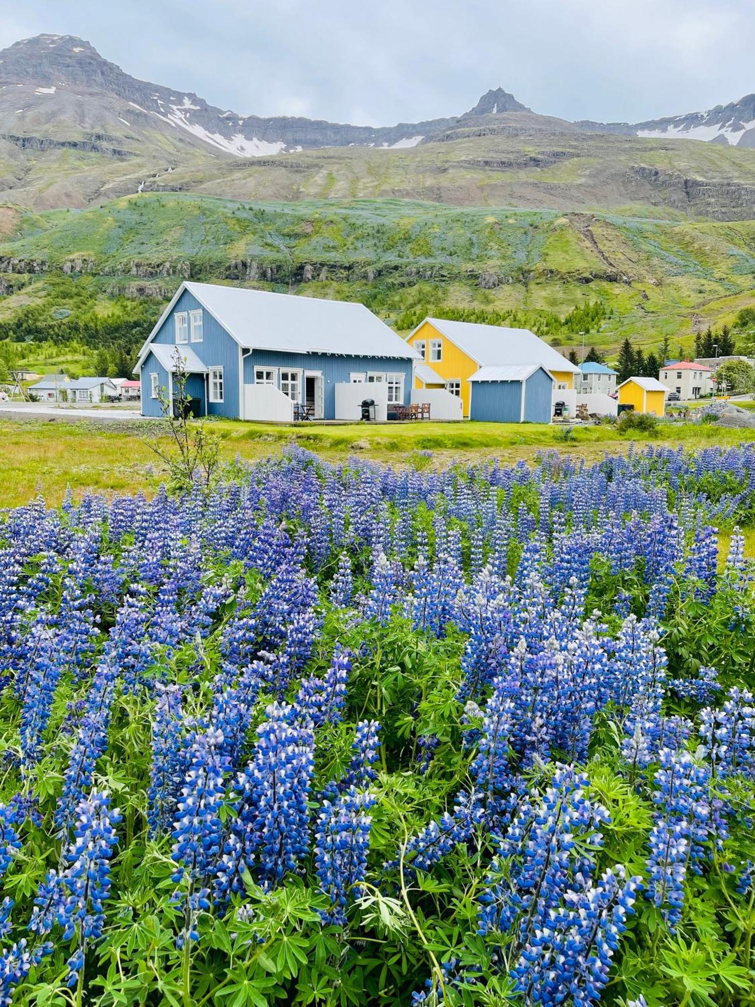 Lonsleira Apartments Seyðisfjörður Dış mekan fotoğraf